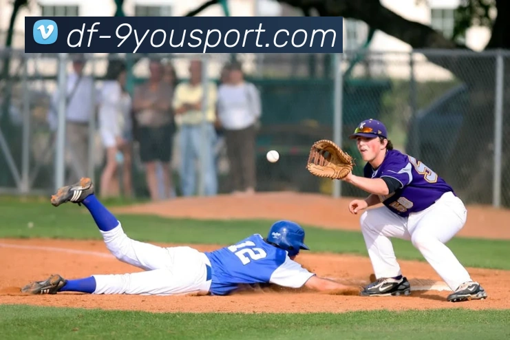 九游官网APP 封面图